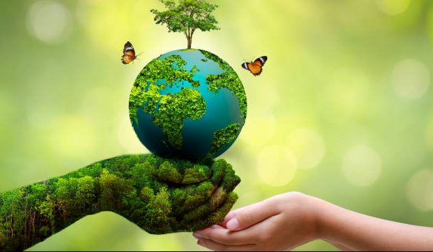 Isu Lingkungan Yang Mendapat Perhatian Dunia
