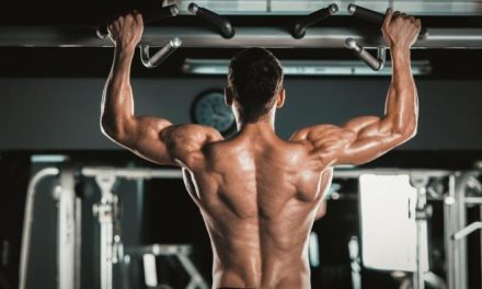 Program Gym Untuk Meningkatkan Massa Otot