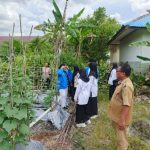 Aktivitas Lokal Mewarnai Kehidupan Masyarakat