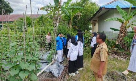 Aktivitas Lokal Mewarnai Kehidupan Masyarakat
